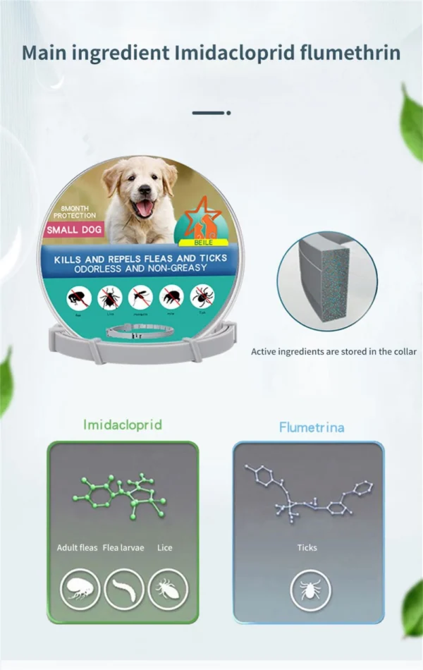 Collar flea affordable and effective Beile