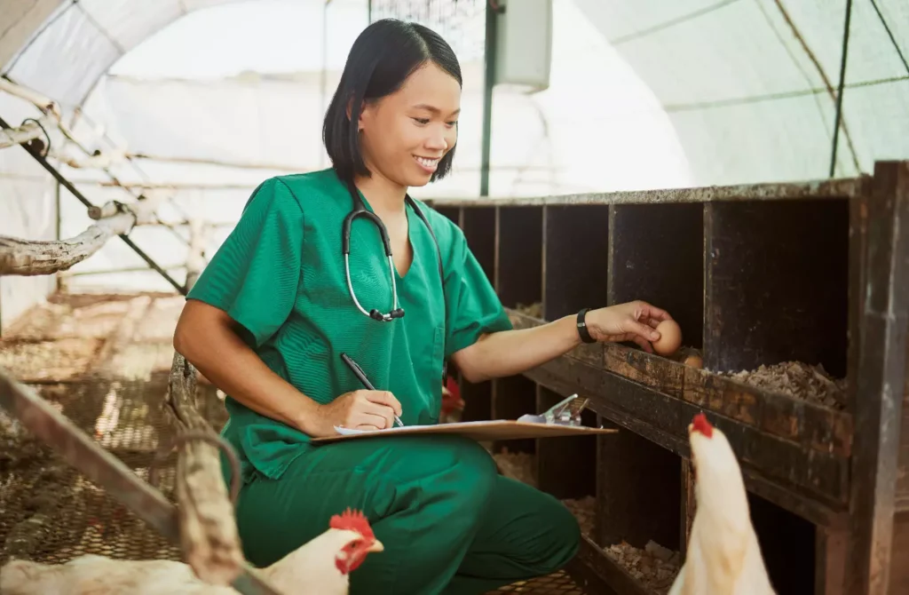 La Gripe aviar. 1enfermedad que afecta a aves silvestres y de corral. 3 Tratamiento de la Influenza Aviar