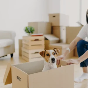 Guía para Nuevos Propietarios